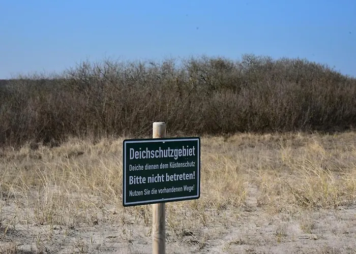 Ankerpladsen Opti